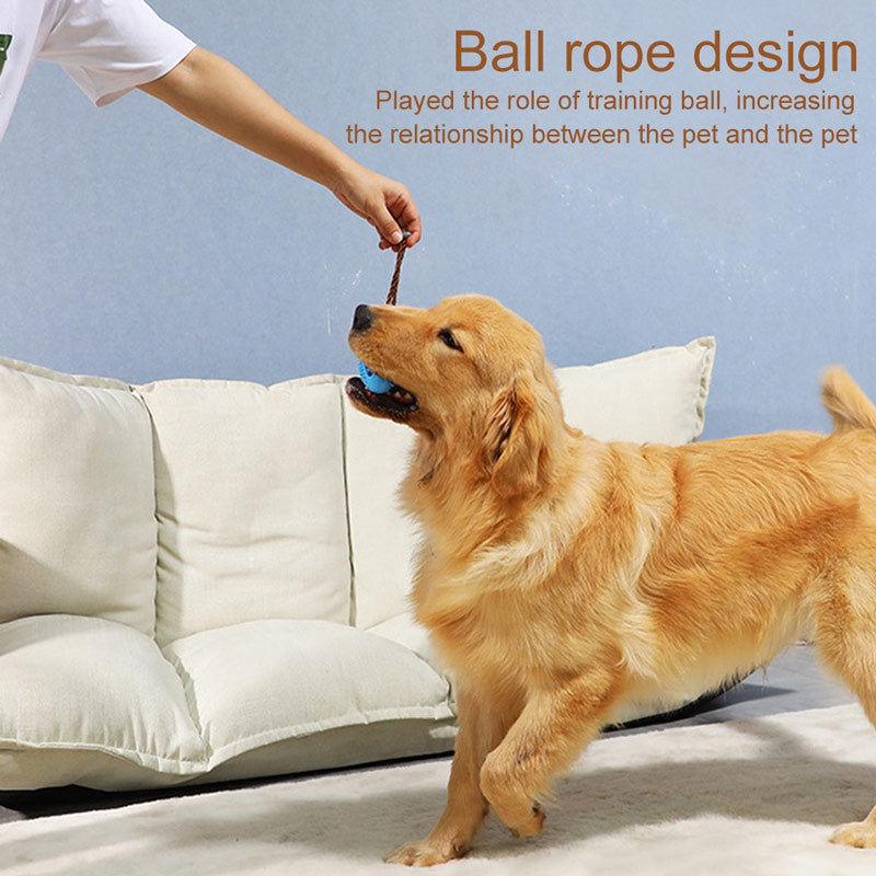 ball rope chewable