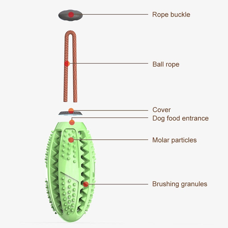 oral hygeine dog toy