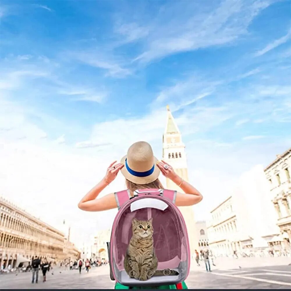 Transparent Pet Travel Backpack