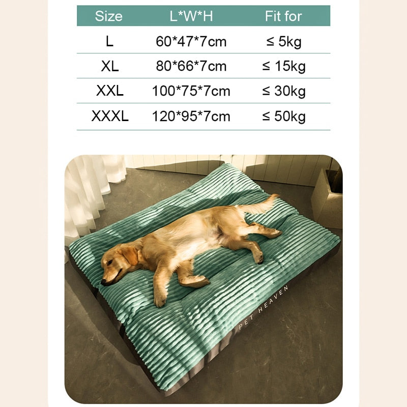 dog bed sizing