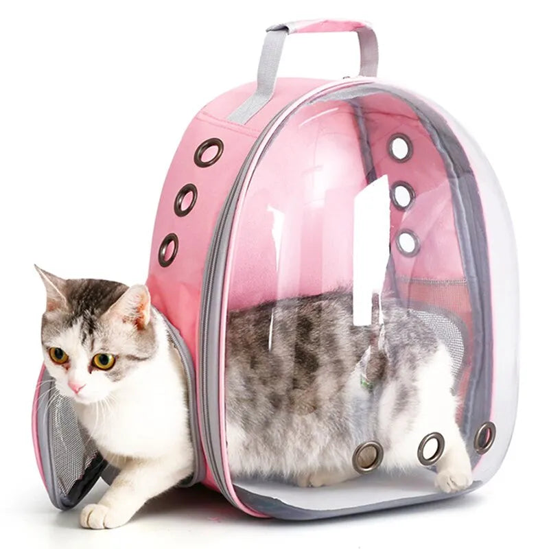 Transparent Pet Travel Backpack