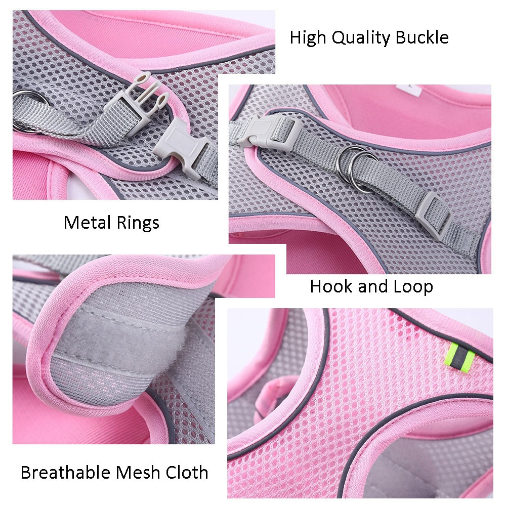 cat harness features