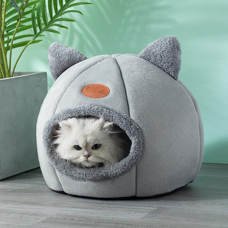 playful cat bed