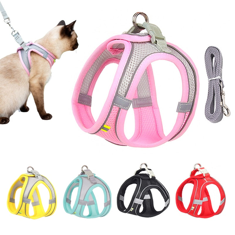 Cat harness with leash